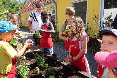 Foto des Albums: Eine großzügige Spende unserer Sparkasse