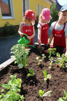 Foto des Albums: Eine großzügige Spende unserer Sparkasse