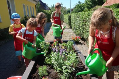 Foto des Albums: Eine großzügige Spende unserer Sparkasse