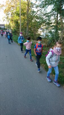Foto des Albums: Wandertag