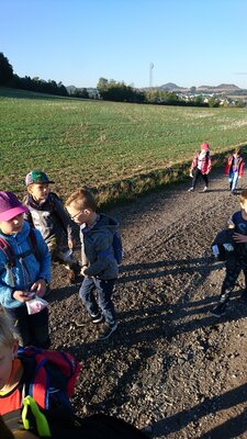 Foto des Albums: Wandertag