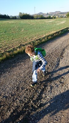 Foto des Albums: Wandertag
