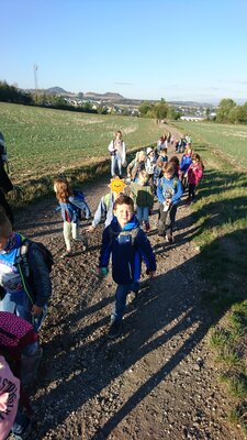 Foto des Albums: Wandertag