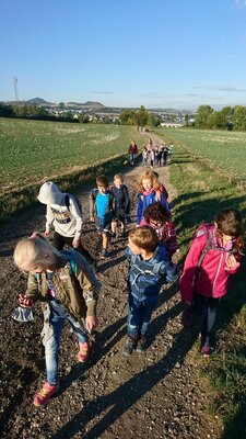 Foto des Albums: Wandertag
