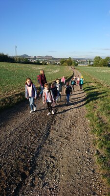 Foto des Albums: Wandertag