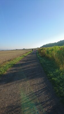 Foto des Albums: Wandertag