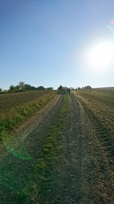 Foto des Albums: Wandertag