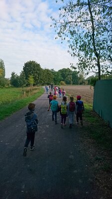 Foto des Albums: Wandertag