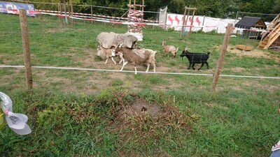 Foto des Albums: Wandertag