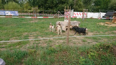 Foto des Albums: Wandertag