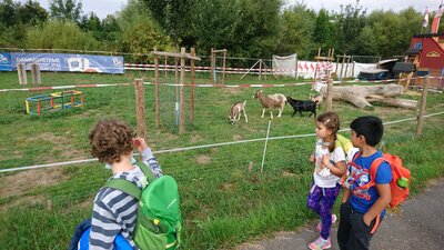 Foto des Albums: Wandertag