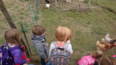 Foto des Albums: Wandertag