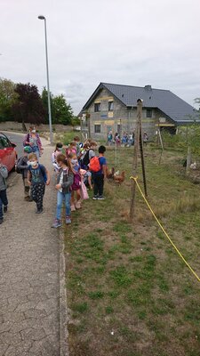 Foto des Albums: Wandertag