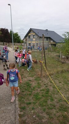 Foto des Albums: Wandertag
