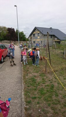 Foto des Albums: Wandertag