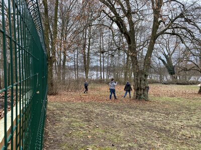 Foto des Albums: Hochbeet