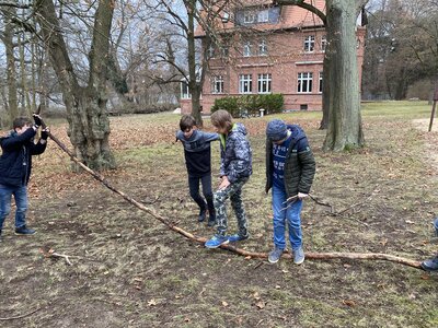 Foto des Albums: Hochbeet