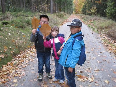 Foto des Albums: Woche der Nachhaltigkeit: Wandertag (17. 10. 2019)