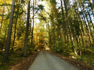 Foto des Albums: Herbststimmung