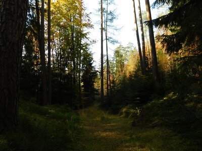 Foto des Albums: Herbststimmung