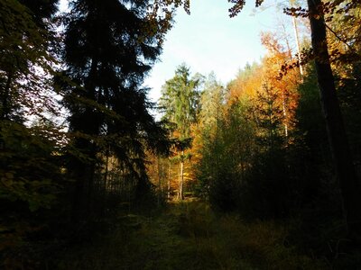 Foto des Albums: Herbststimmung