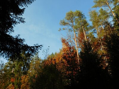 Foto des Albums: Herbststimmung