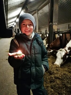 Foto des Albums: Bring Licht ins Dunkel