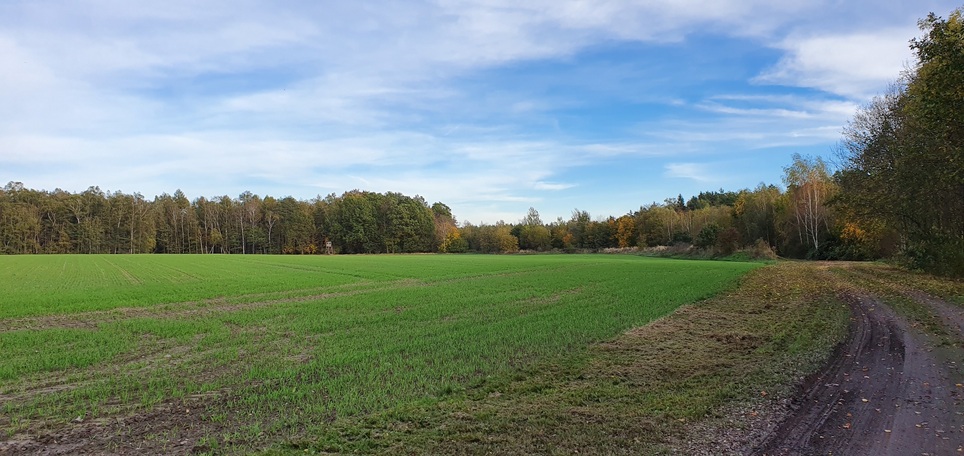 Bild: 20191026 161339