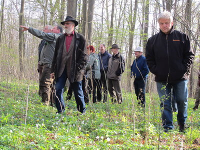 Foto des Albums: Exkursionen 2012