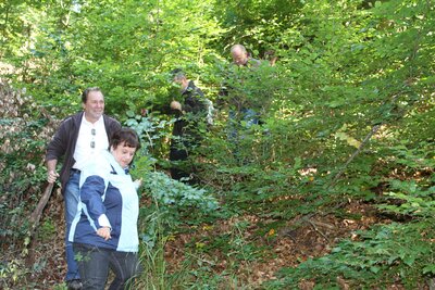 Foto des Albums: Exkursionen 2013