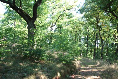 Foto des Albums: Exkursionen 2013