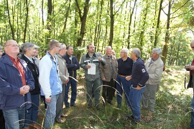 Foto des Albums: Exkursionen 2013