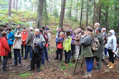 Foto des Albums: Exkursionen 2014