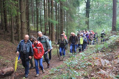 Foto des Albums: Exkursionen 2014