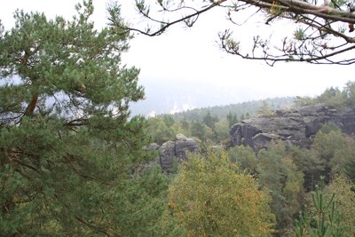 Foto des Albums: Exkursionen 2014