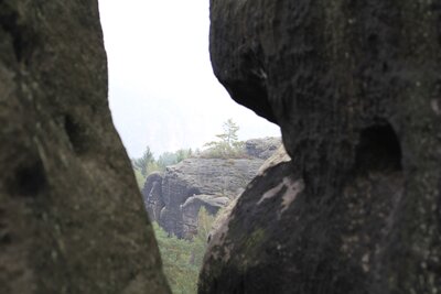 Foto des Albums: Exkursionen 2014