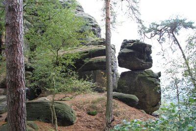 Foto des Albums: Exkursionen 2014