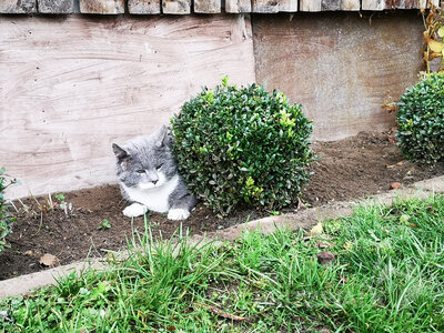 Foto des Albums: RBB-Reporterin Joanna Jambor besucht Pritzwalk