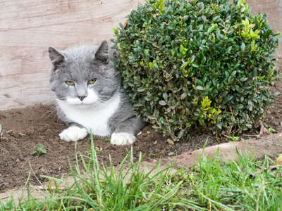 Foto des Albums: RBB-Reporterin Joanna Jambor besucht Pritzwalk