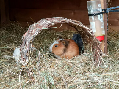 Foto des Albums: RBB-Reporterin Joanna Jambor besucht Pritzwalk