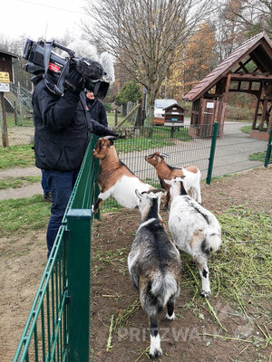 Foto des Albums: RBB-Reporterin Joanna Jambor besucht Pritzwalk