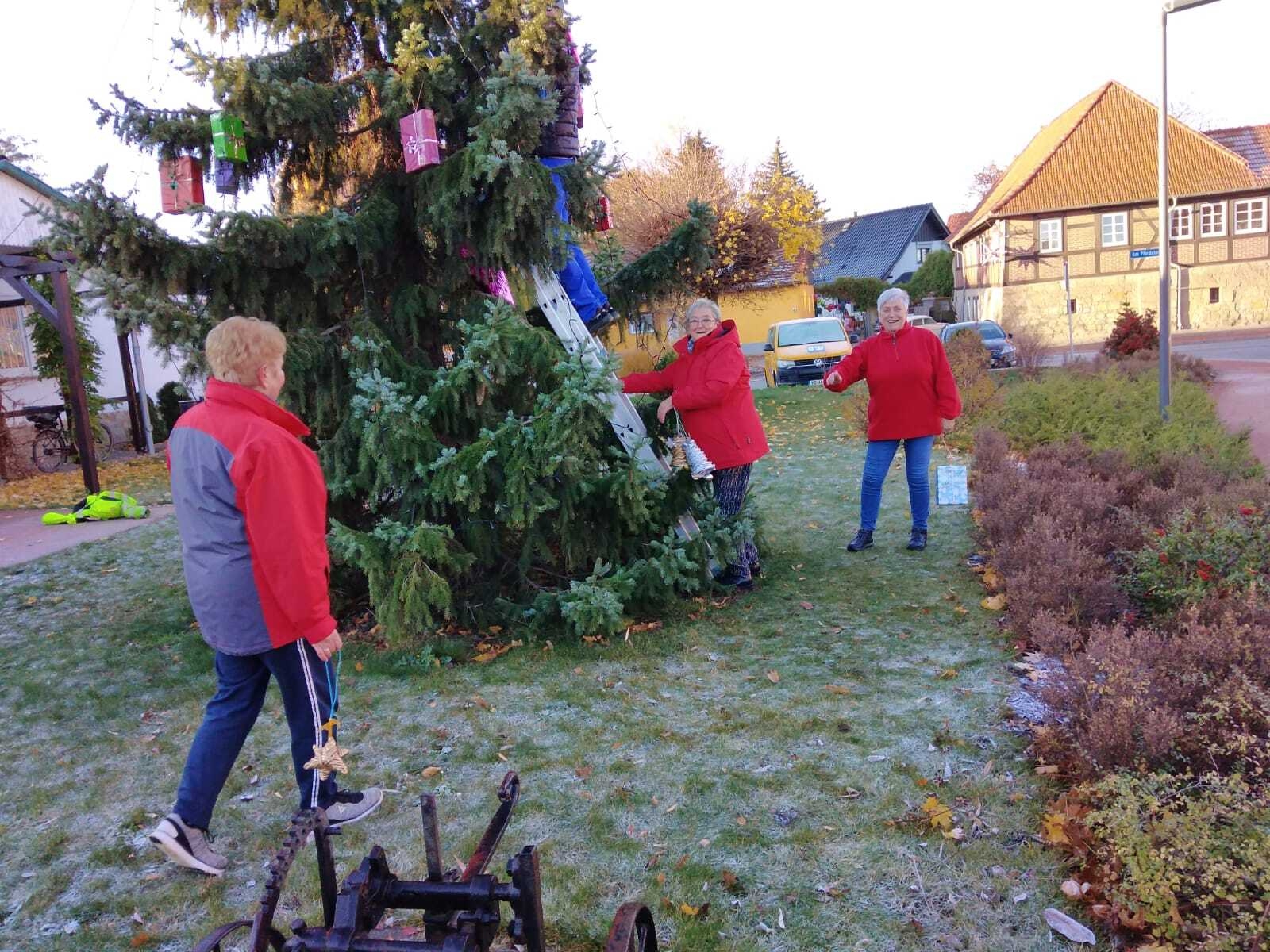 Bild : Weihnachten 2020 (62)