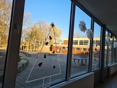 Vorschaubild: Weihnachtsbäume an den Schulhoffenstern
