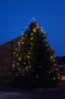 Vorschaubild: Weihnachtsbaum Großräschen-Ost geschmückt vom Schmogro e.V. Friedensstraße