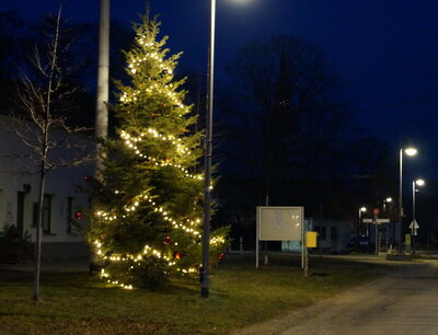 Vorschaubild: Weihnachtsbaum Dörrwalde geschmückt vom Dorfverein