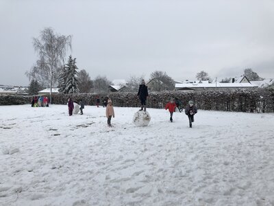 Foto des Albums: Der erste Schnee in Traustadt (01.12.2020)