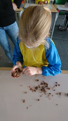 F&uuml;chse bei der Arbeit. 