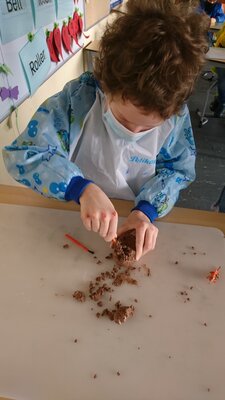 F&uuml;chse bei der Arbeit. 