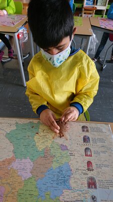 F&uuml;chse bei der Arbeit. 