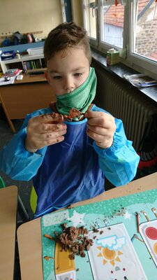 F&uuml;chse bei der Arbeit. 